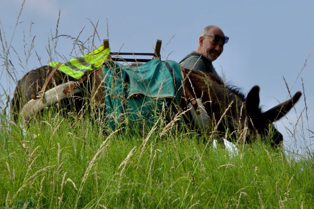 Ezelwandeling langs de rivier Nete Berlaar - Gestel
