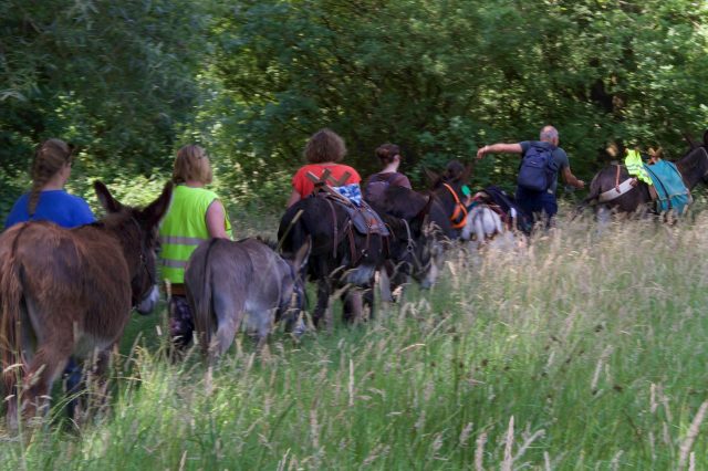 Ezelwandeling t Hutteke Berlaar
